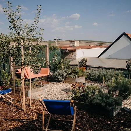 Podkroffka Apartamento